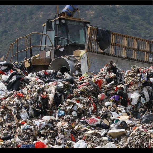 🌍🌲 BE the Change and MAKE the Change!! 🌲🌍 - Picture 4 of 4